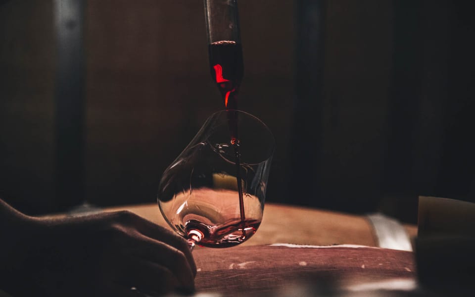 Wine tastings and trainings Wine tastings and trainings